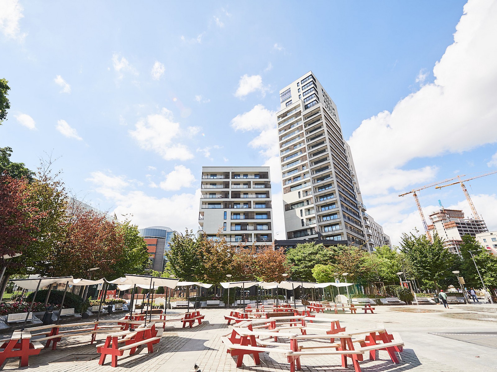 Belview - Lighthouse