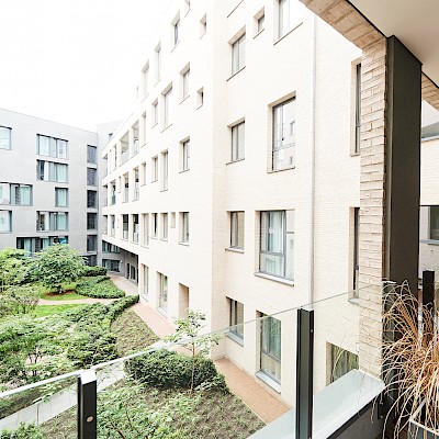 Ernest The Garden & The Park