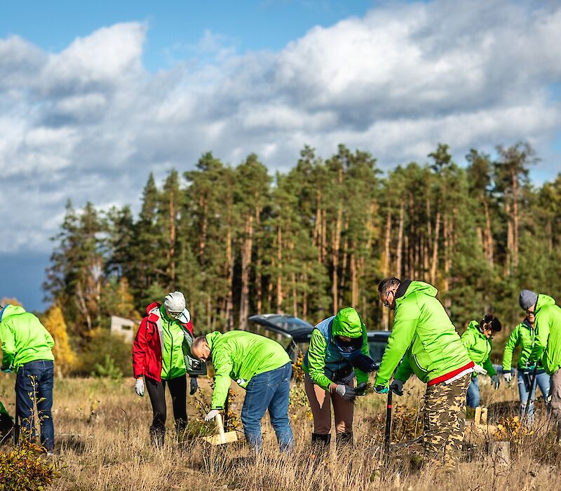 14 tys. nowych drzew na Pomorzu dzięki BPI Real Estate Poland!